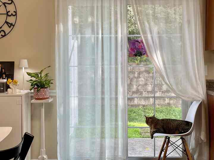 White and beige toned small kitchen dining room featuring a cat on a chair by the window with natural light creating a cozy atmosphere
