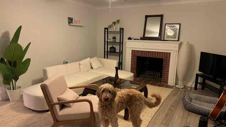 Natural color tone living room featuring white sofa, wooden armchair, fireplace, and a dog creating a cozy atmosphere