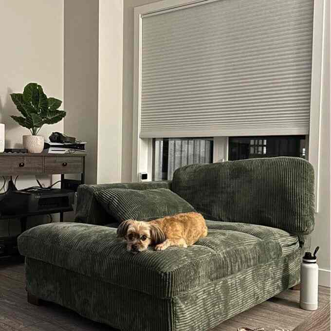Found the perfect spot for a cozy evening. My green sofa #cozyvibes #relaxingathome #homestyle