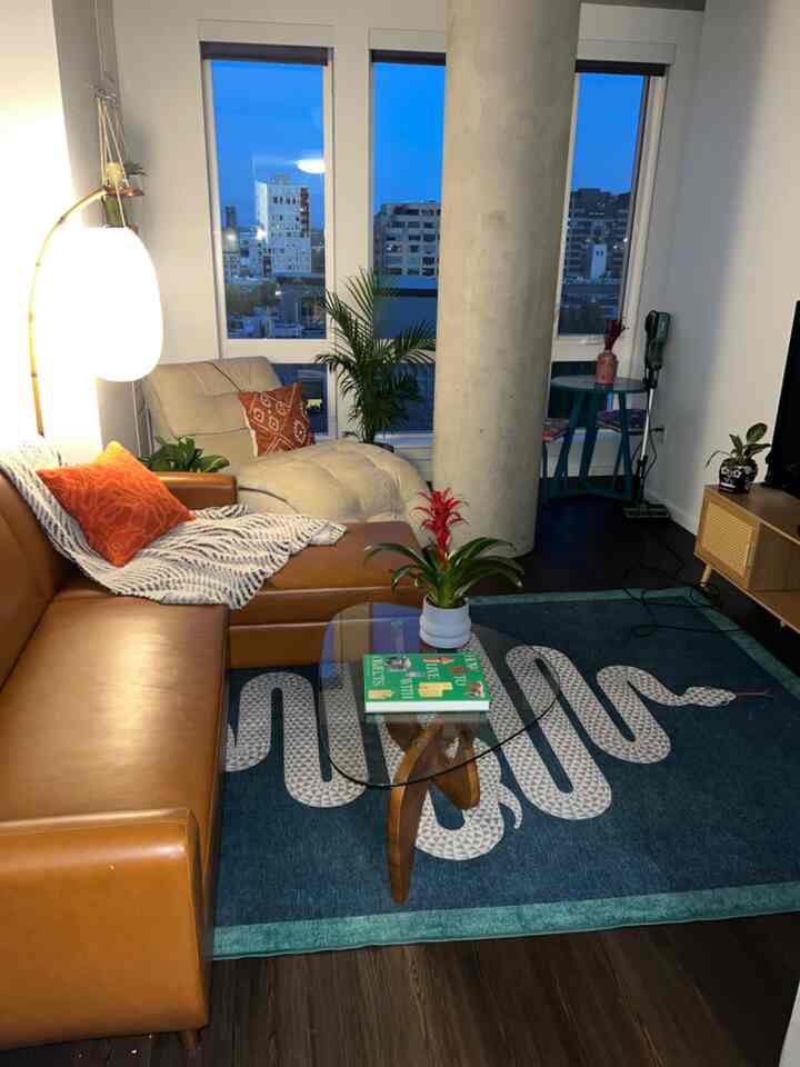Modern living room featuring a brown leather sofa, wood tone flooring, and a blue snake-patterned rug with lively plants