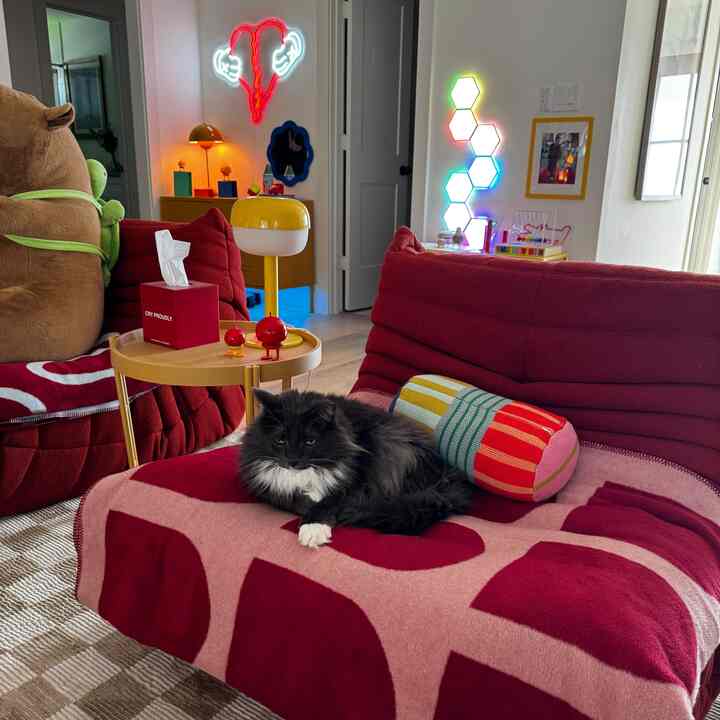 Living room with red and yellow tones, featuring a red sofa with a throw blanket and a cat resting comfortably