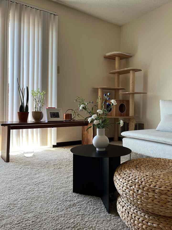 Natural tone living room with white carpet, brown wooden bench, black coffee table, and cat tower