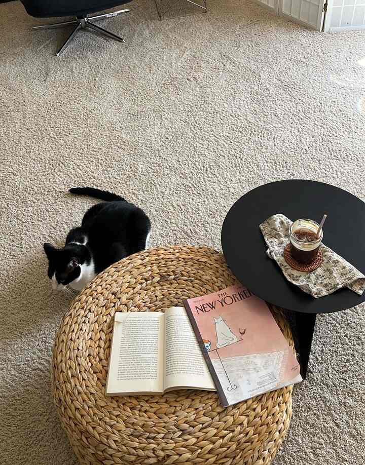 Cozy living room featuring a beige rug, natural wood-tone stool, black side table, and a black-and-white cat relaxing on the floor