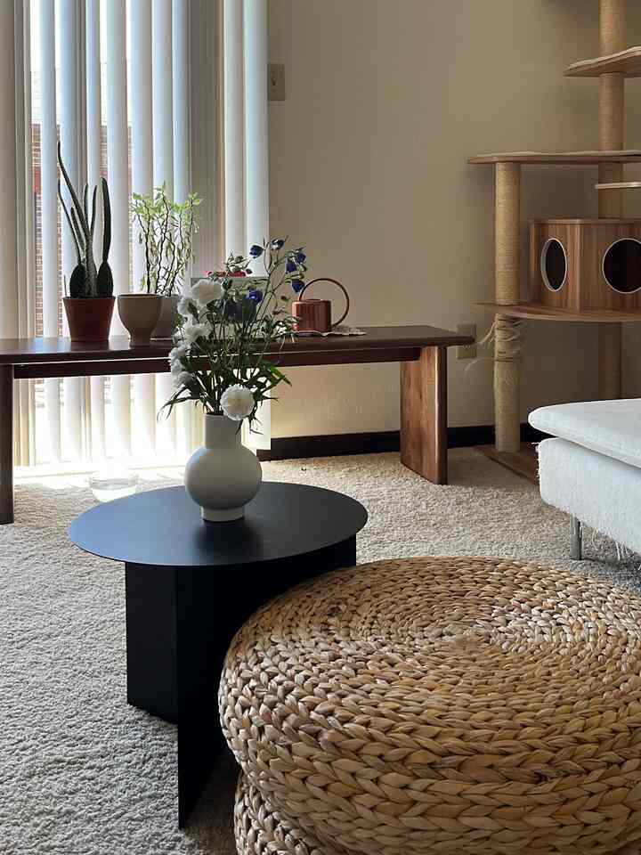 Beige carpet and white sofa with bamboo stool and cat tower arranged in a natural styled living room space