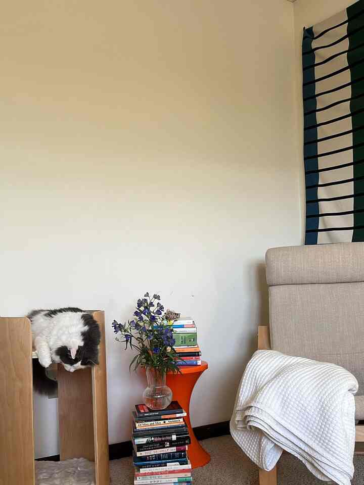 Living room with white walls and wood tone furniture, featuring a cat tower with a resting cat and a vase on a stool creating a cozy atmosphere