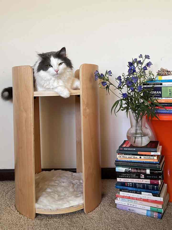 Cozy space with wood-toned cat tower hosting a cat, beside a vase with flowers and stacked books