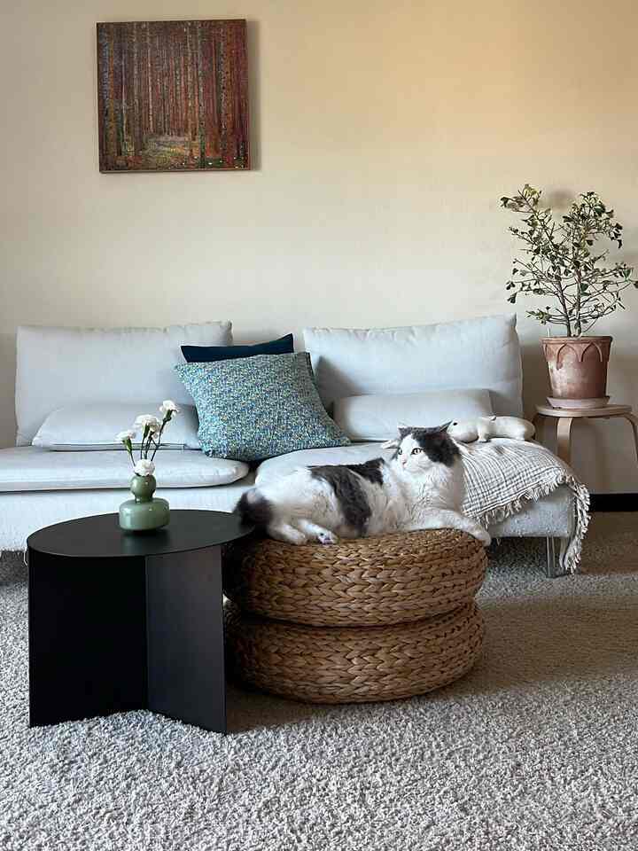 White and natural toned living room featuring a white sofa and a dark-spotted cat resting on woven stools, creating a simple and cozy atmosphere