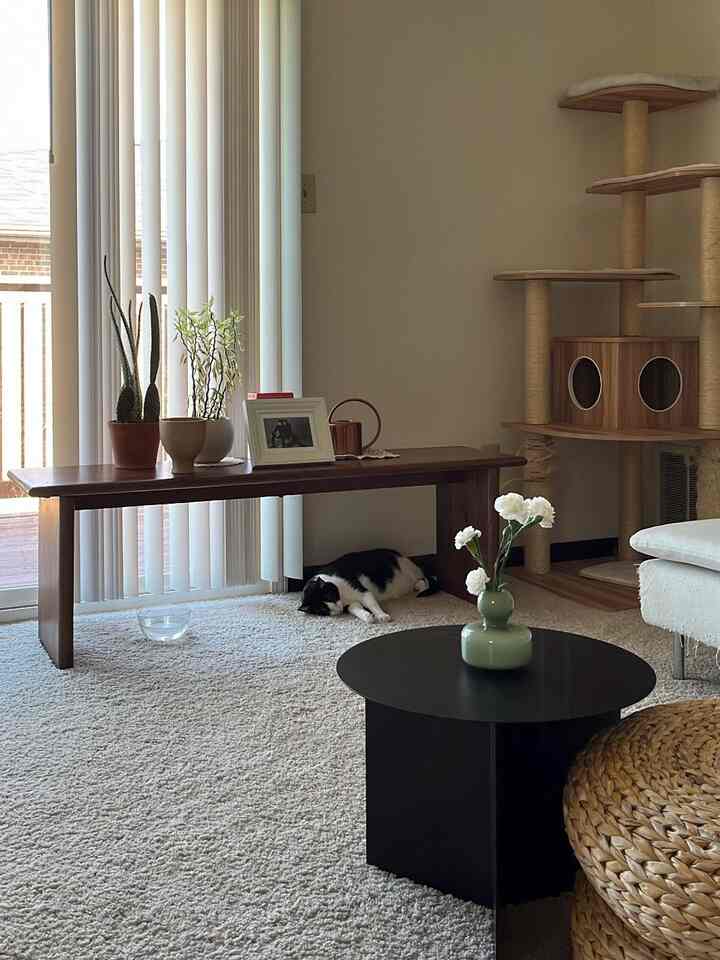 A cozy living room in white and brown tones featuring a wooden bench and cat tower, with a black and white cat resting on the floor