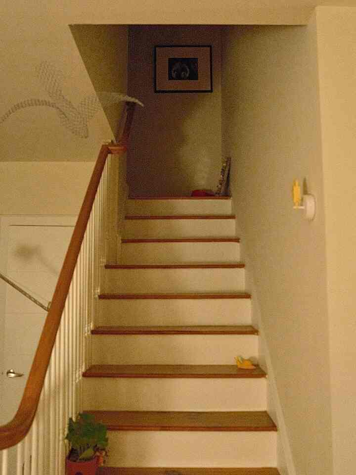 Bits of home today - bird flying above the stairs, elephant hanging out in a corner, and a new frame above the bedside table.

#homedecor #colorofhouse #interiorprops #portablelamp #mobile #airmonitor #stairinterior 