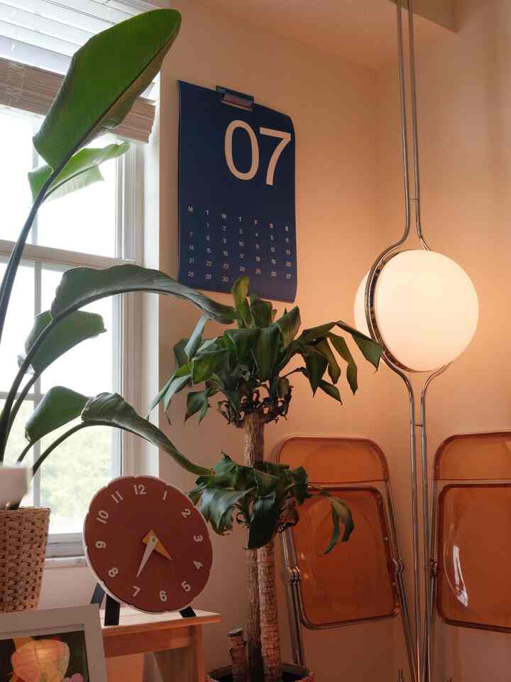 One of my favorite corners in my apt :)

Made even warmer by these foldable chairs!

#chairrecommendation #foldablechairs #diningroom