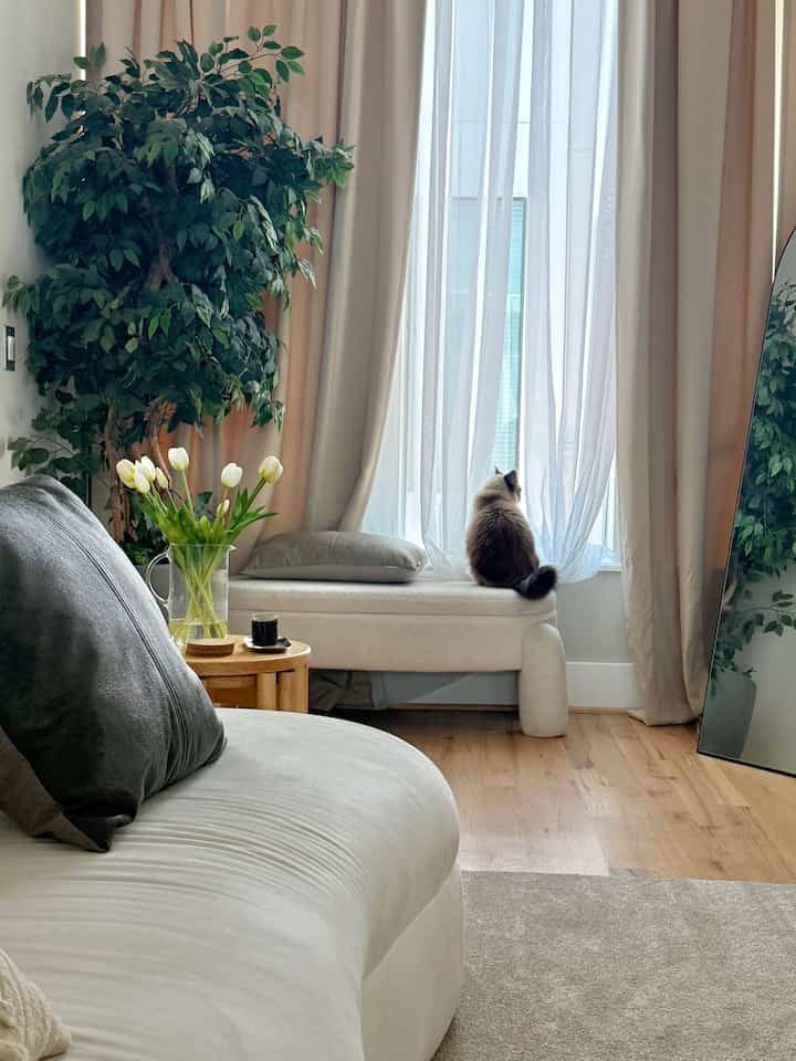 A white and wood tone living room featuring a cat sitting by the window and natural plants, creating a cozy atmosphere.