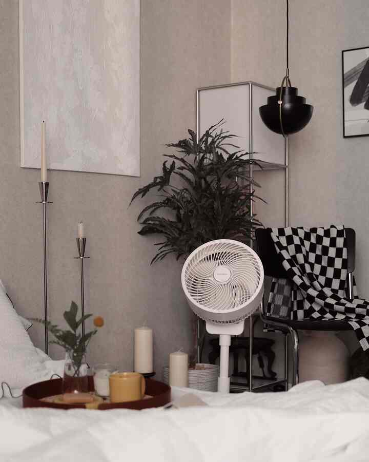 White and black toned bedroom featuring a checkered blanket and green plant creating a calm, modern atmosphere