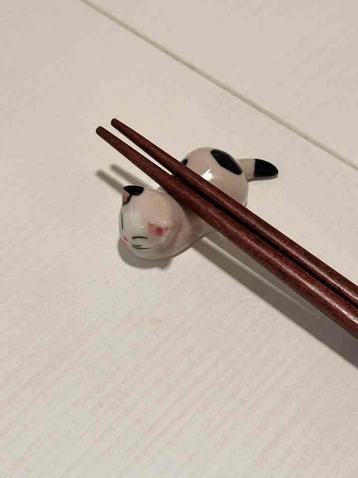 Taking Dinner with cute chopstick rest 😙

#rest #chopstick #chopstickrest #sushi #dinner #whitetable