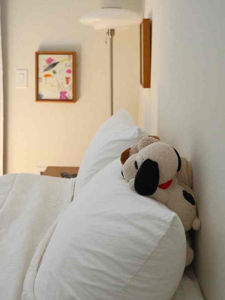 Sunny in my bedroom today and all my plushes hanging out together 🤍

#bedroom #bedroominterior #pillowcase #floorlamp #woodframe #cozy #relaxing #whitebedding 