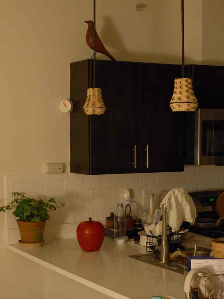 White and black toned kitchen featuring a plant, red apple-shaped container, clock, and decorative bird figurine with a cozy feel