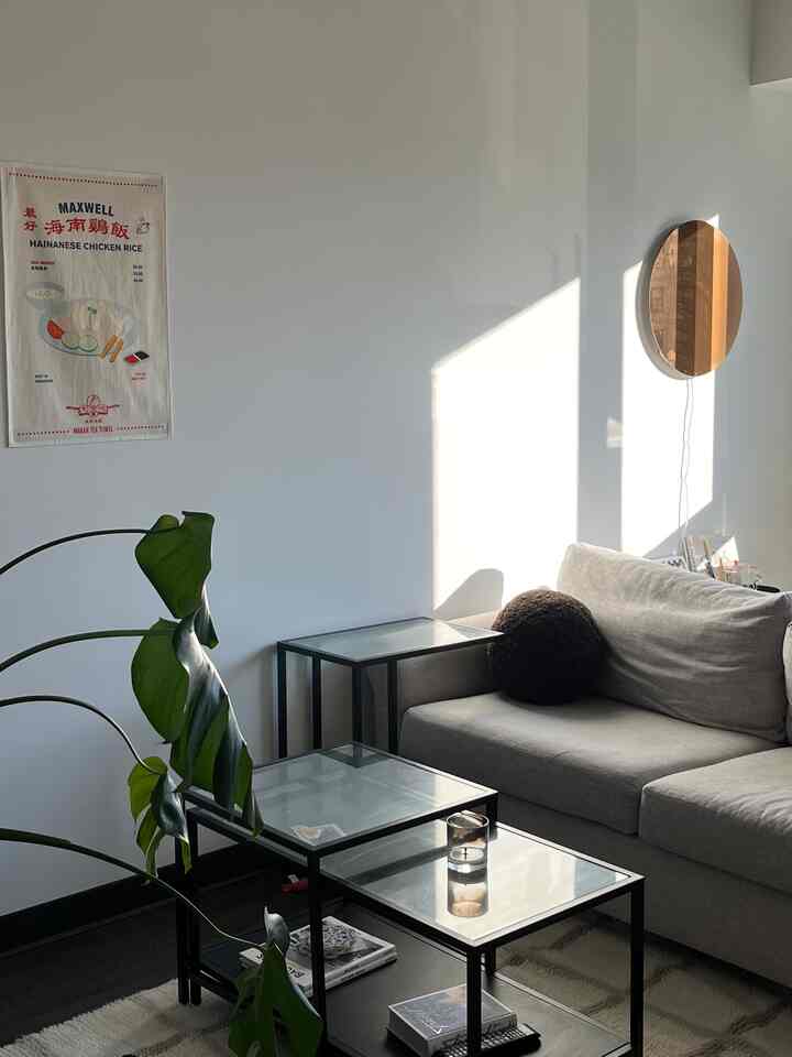 Bright white and black accented living room featuring a sofa, glass coffee tables, large green plant in a natural modern setting