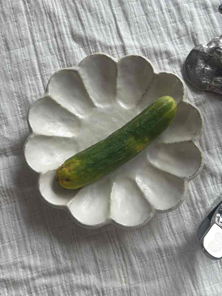 Tagged posts featuring RINKA Bowl (3 colors) 3