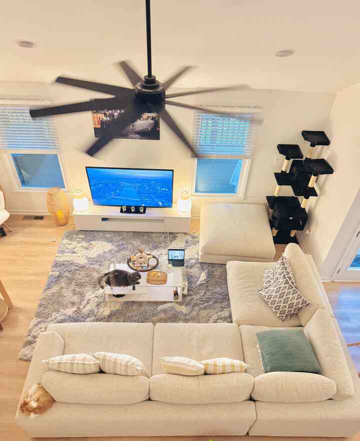 Beige modern living room featuring a large sectional sofa, cat tower, and coffee table with a cozy atmosphere for living with cats