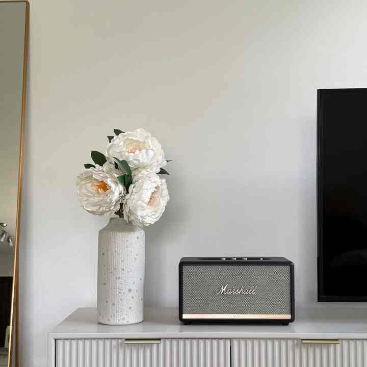 White-toned simple living room corner featuring a vase with white flowers and a Marshall speaker on a TV stand, creating a calm atmosphere
