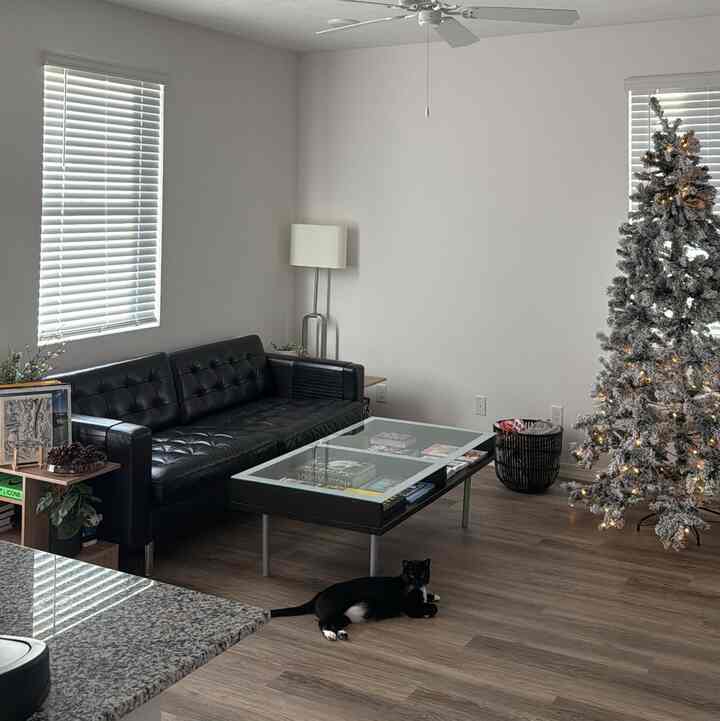 White-toned living room featuring a black leather sofa and decorated Christmas tree with a simple natural atmosphere