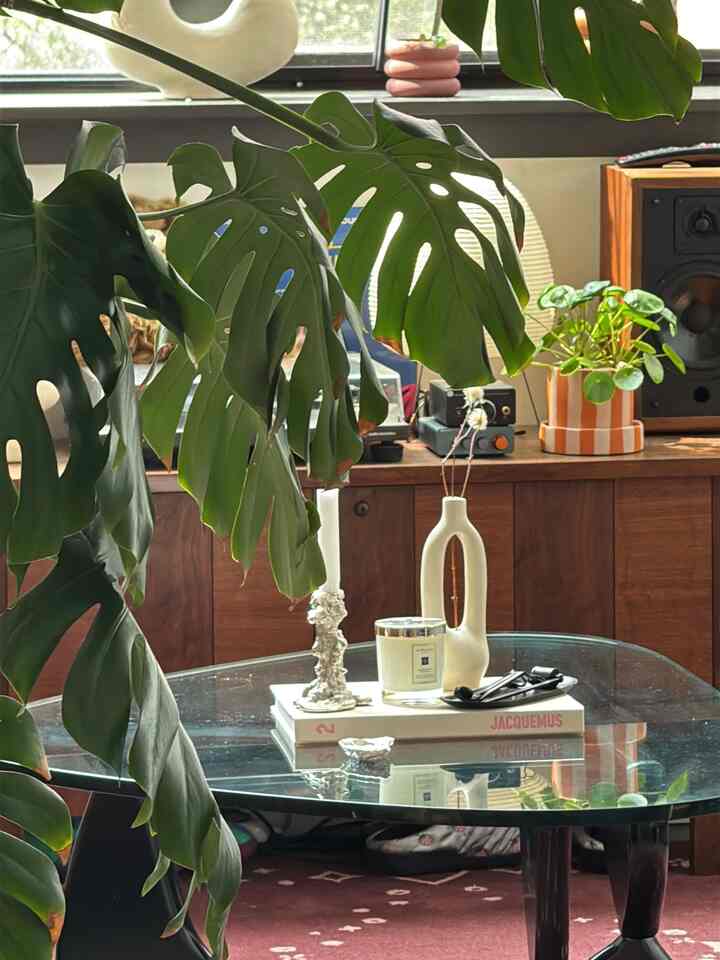 Living room featuring brown wood furniture and a glass table with prominent green plants
