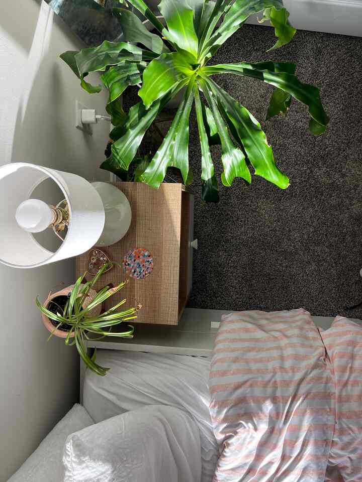 sunshine hitting my bedside table #cozy #bedroom #bedroomsetup #sheets #duvet #duvetcover #pillow #pillowcover #pillowcase 