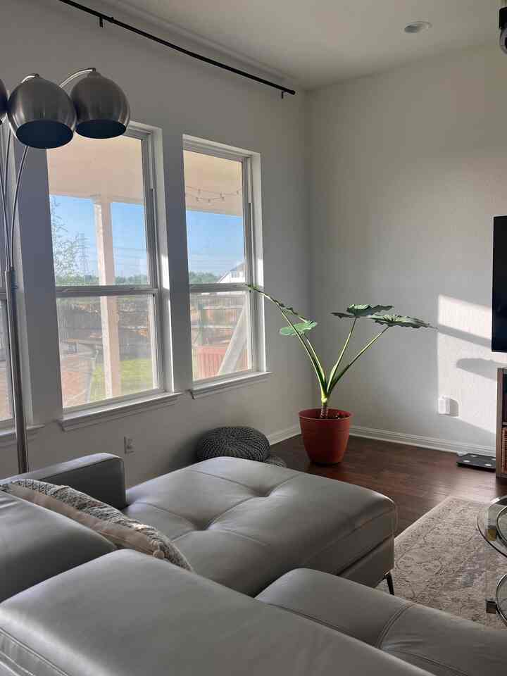 Sinar matahari alami di sore hari ✨

#perak #simplehouse #warm #sunlight #Austin #Texas #plantinterior