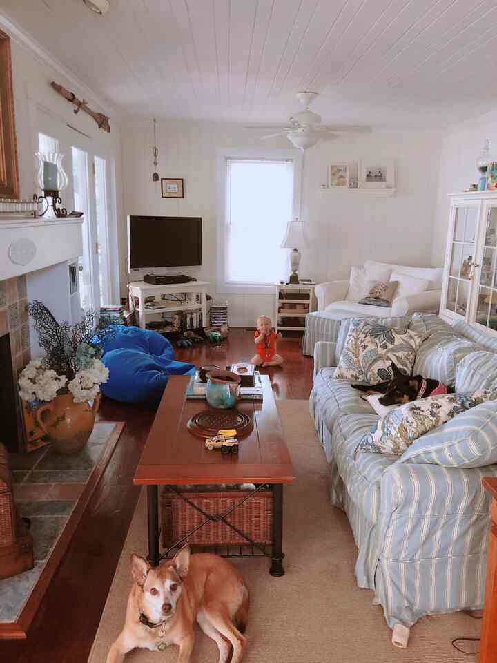 White and natural-toned living room featuring sofa, coffee table, baby, and two dogs in a family-friendly setting