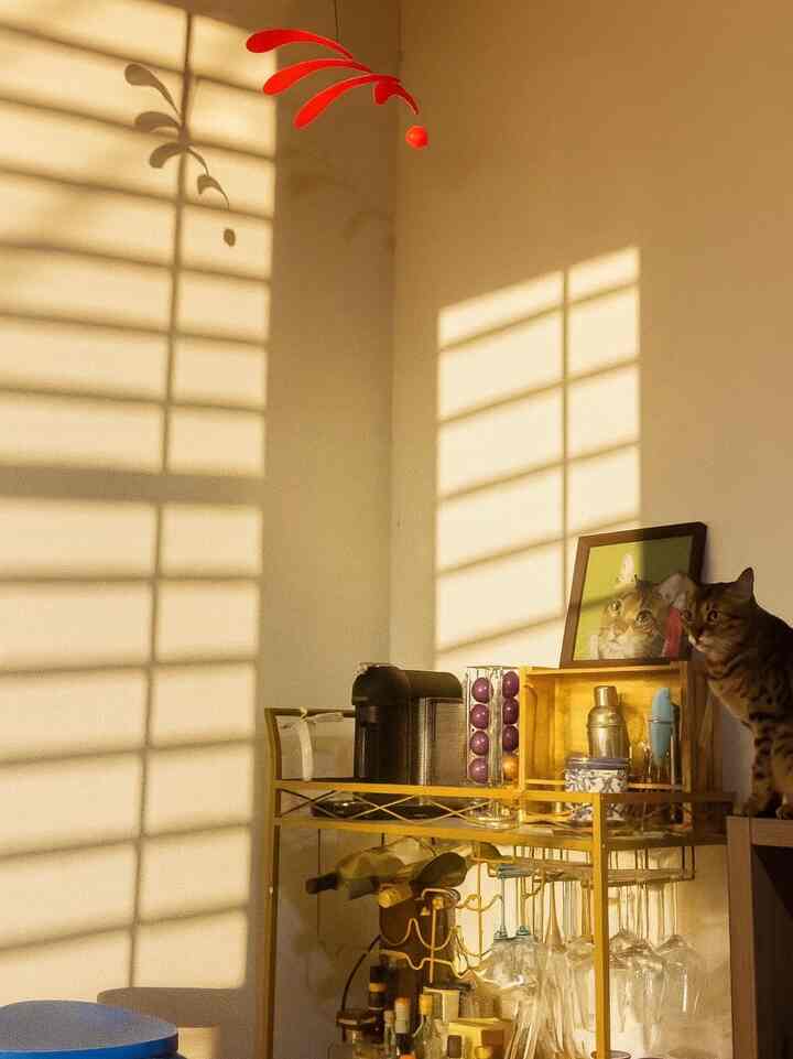 Sunlight, coffee, and a cat’s serenity ☀️🐾 

#MorningVibes #CatLife #GoldenHour #barcart #coffee #summerdecor #homecafe