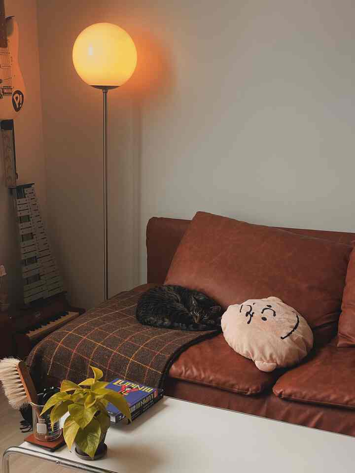 Brown leather sofa with a cat in a warm living room featuring a white coffee table and floor lamp