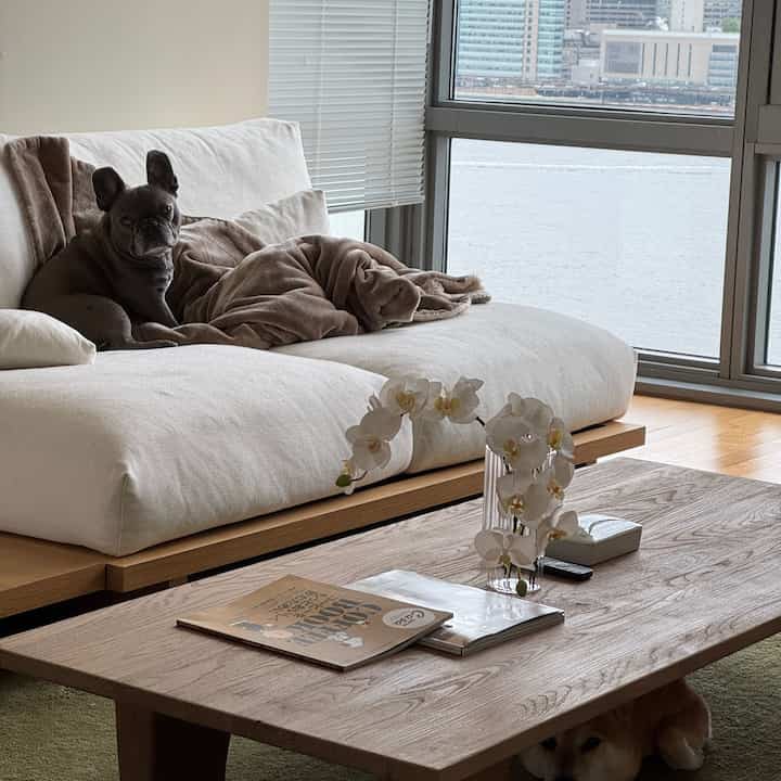 Natural wood tone living room with white sofa, large window overlooking river, and a dog resting comfortably creating a calm atmosphere