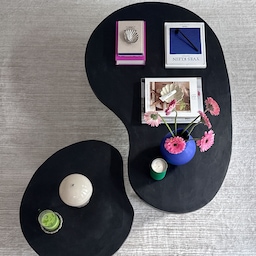 The new nesting coffee tables from the top? ✨GORGEOUS✨
.
.
.
#coffeetable #coffeetablesetting #nestingcoffeetables #frenchgirlhome #minimalwithmood #parisianmodern #organicmodern #popsofcolor #boldcolors #vase #lamp #coffeetablebooks