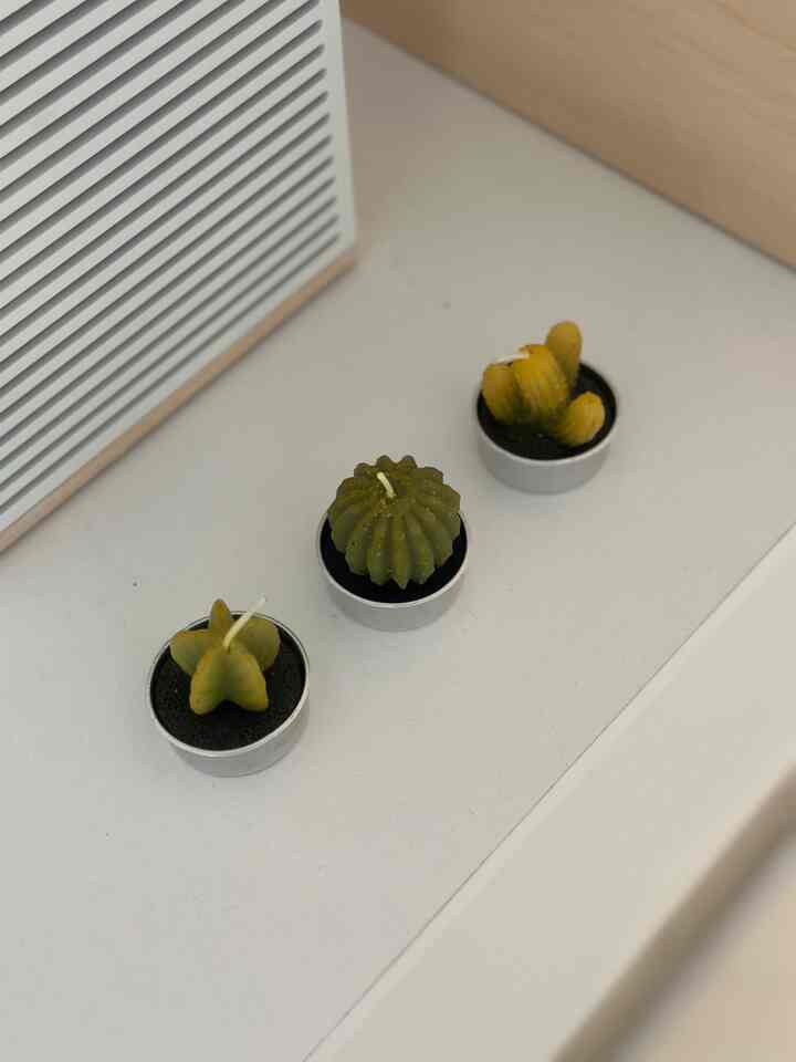 I got a very cute cactus candle :) 
It makes hot summer vibe 🌵🌵


#summerparty #summerhosting #dinnerpartydecor #summerdinnerparty #tablestyling #homebar #candle 