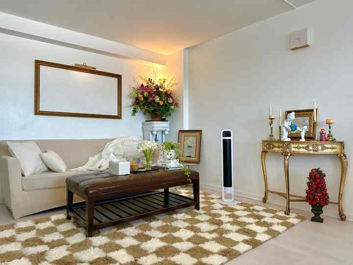 Soft beige-toned living room featuring checkered rug, leather coffee table, and classic French country style furniture creating a cozy atmosphere