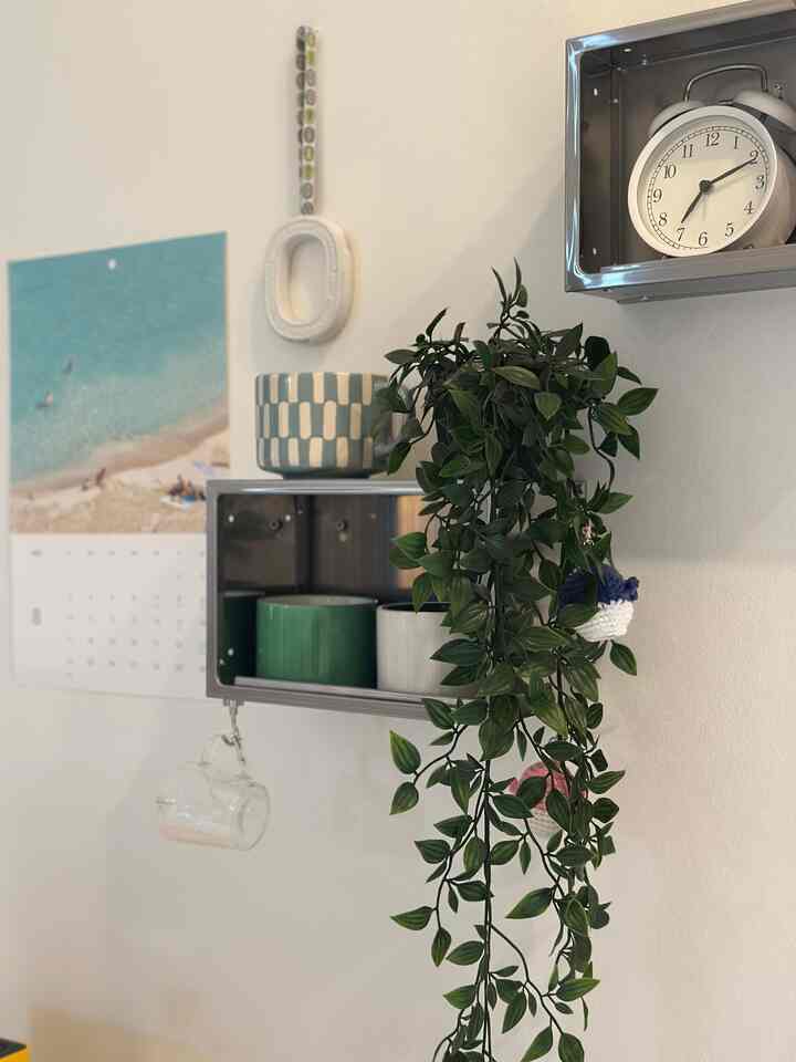 Here is new decoration 🤍 

#silver #minimalinterior #hangingplant #mug #ikea #summerinterior #silverkitchenfaucet 