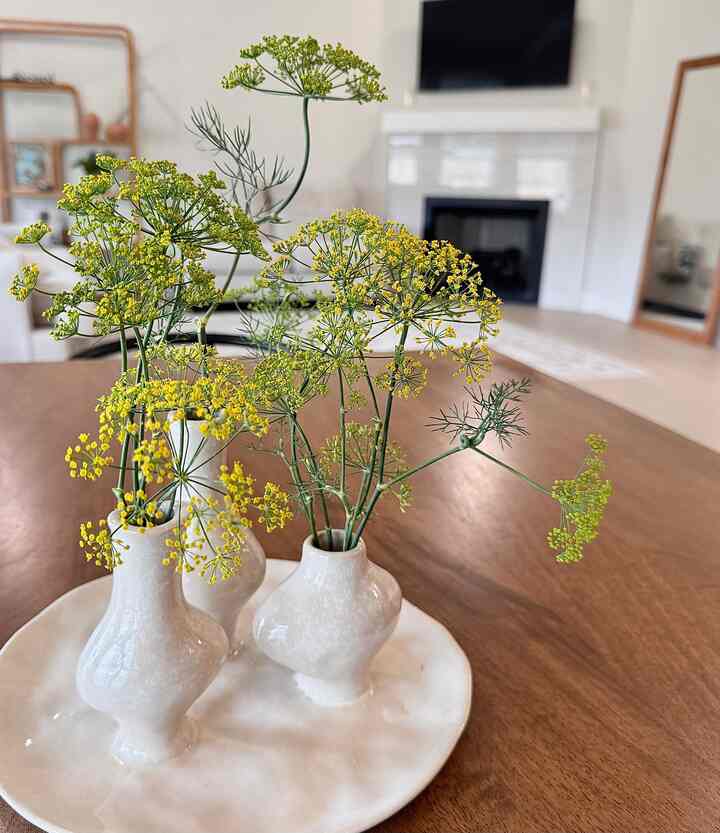 Momen-momen, seperti potongan-potongan musim panas 💚
Momen-momen murni dan cemerlang yang diberikan musim panas kepadaku.

#musim panas #summerdecor #flower #flowerinterior #baking #livingroom #livingroominterior #livingroomdecoration #cozy #cozymoment