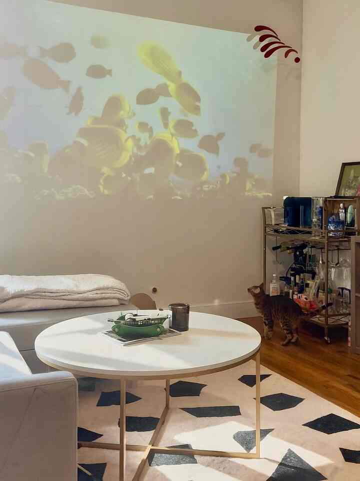 Thinking of getting a new chair — what color should I go for?🍒

#summerrug #rugandhome