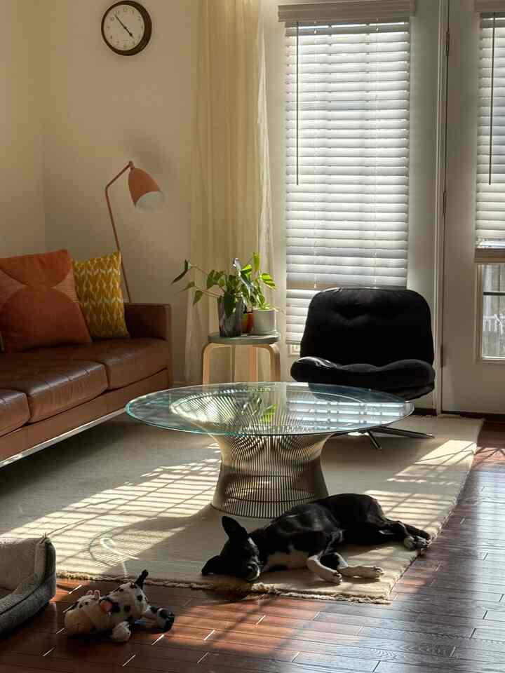 Feeling a bit lazy today🥱💤

#homedecor #livingroom #cozy #warm #midcenturymodern #coffeetable #colorful 