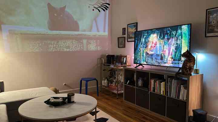 Post-work ritual: lights off, peaceful music, and a little screen time for my cat 
#table #organizer #beamprojector 