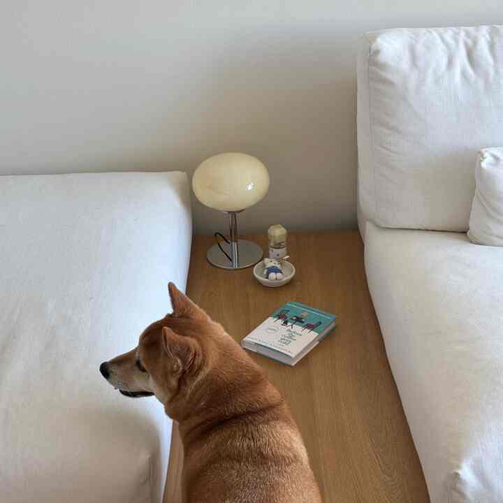 couch with a side table just does something for me #japandi #function #cozy