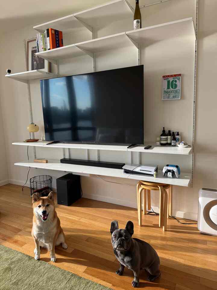 Compact living room with white wall-mounted shelves and desk, two dogs sitting on wooden floor creating a cozy atmosphere