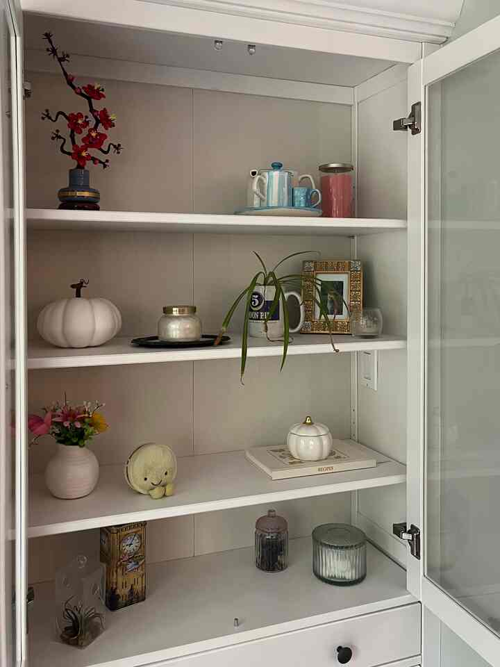 love the newest home buy #bookcase #decor #falldecor #seasonaldecor #colorful #bookcasedecor 