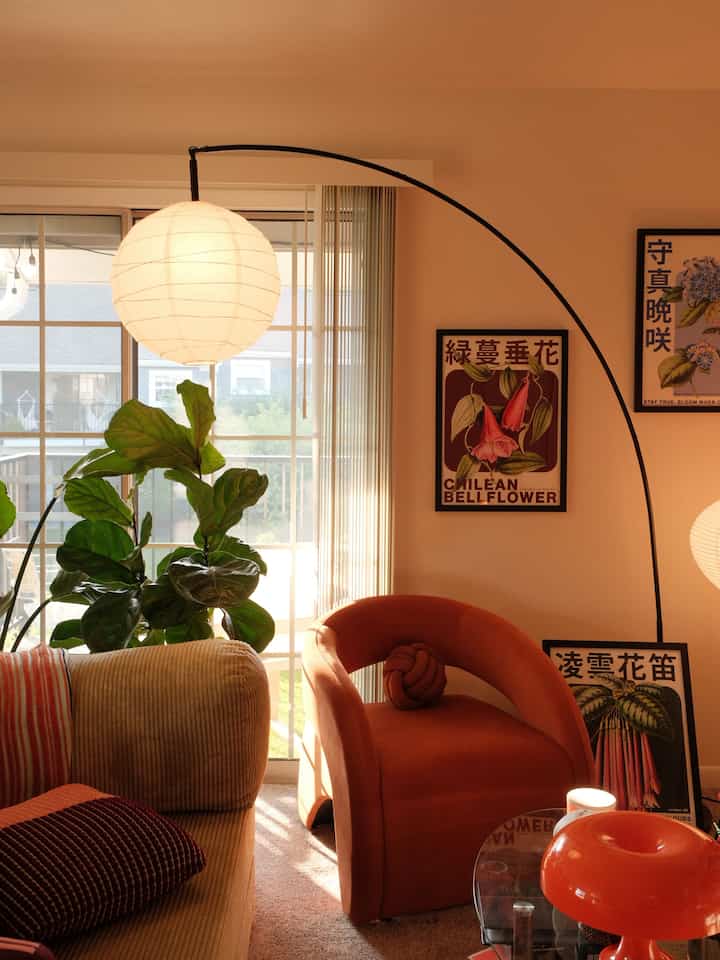 Living room with orange armchair, beige sofa, large green plant, and abundant natural light
