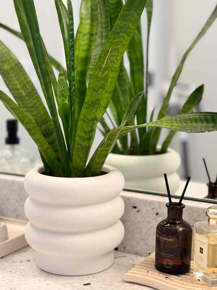 Tagged posts featuring Aromatherapy Diffuser Set 250ml (Multiple Options) 3