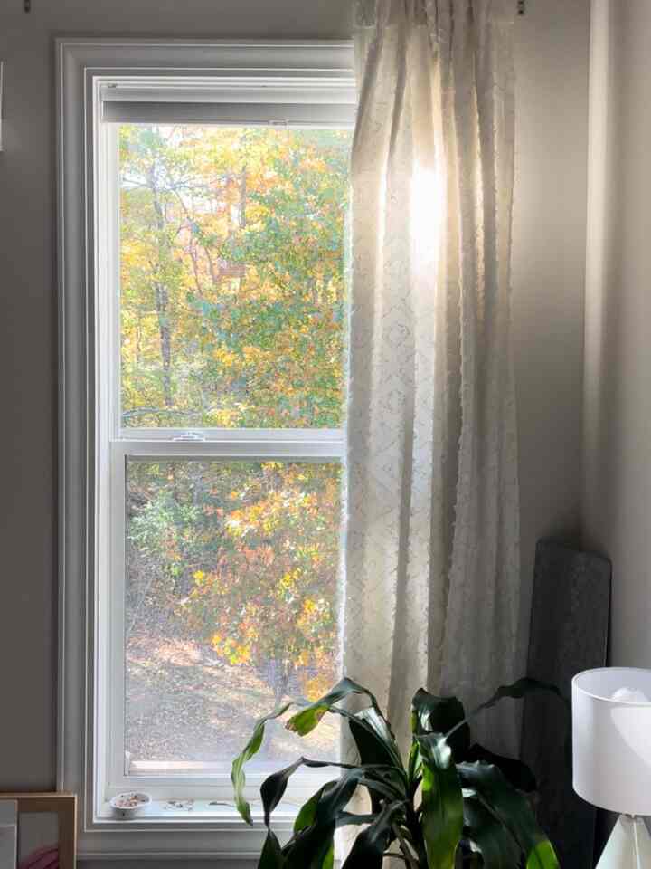 watching the seasons change 

#bedroom #bedroomwindow #room #curtains #lamp #plant 