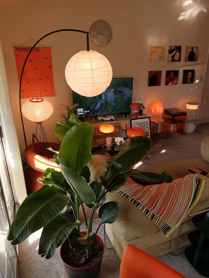 A warm living room in orange and light brown tones featuring vintage furniture and a large green plant