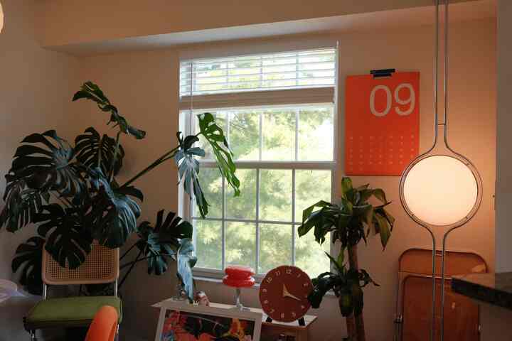 Warm-toned vintage dining room featuring a modern floor lamp and a large Monstera plant creating a cozy atmosphere