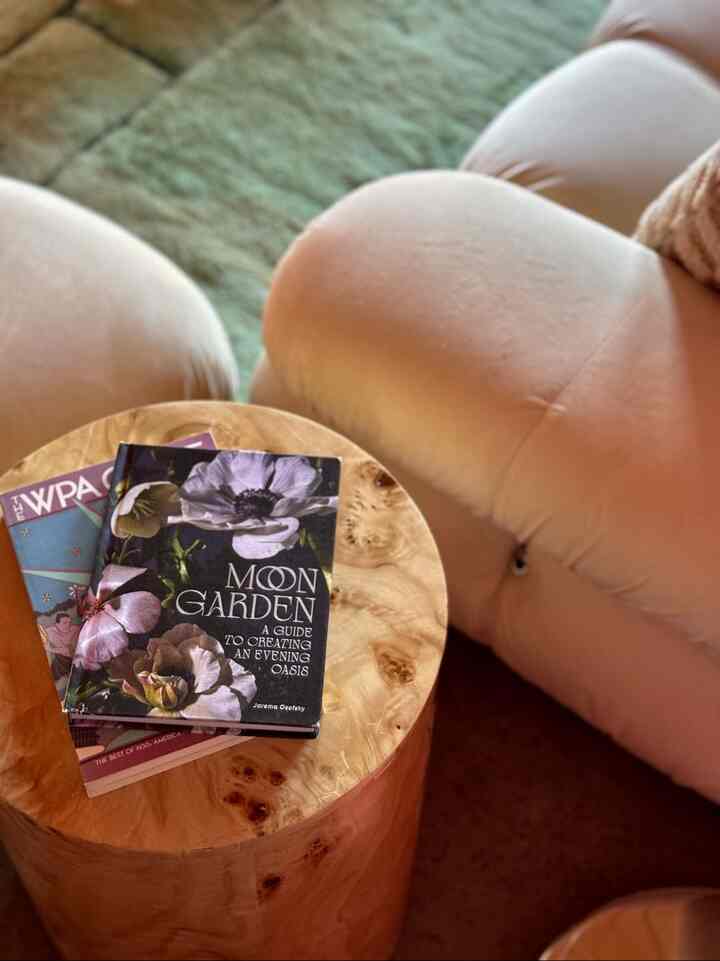 A perfect evening setup with a captivating read. ✨ Loving the tranquil vibes this "Moon Garden" book is bringing to the space!
#MoonGarden #EveningReads #HomeVibes #CozyCorner
