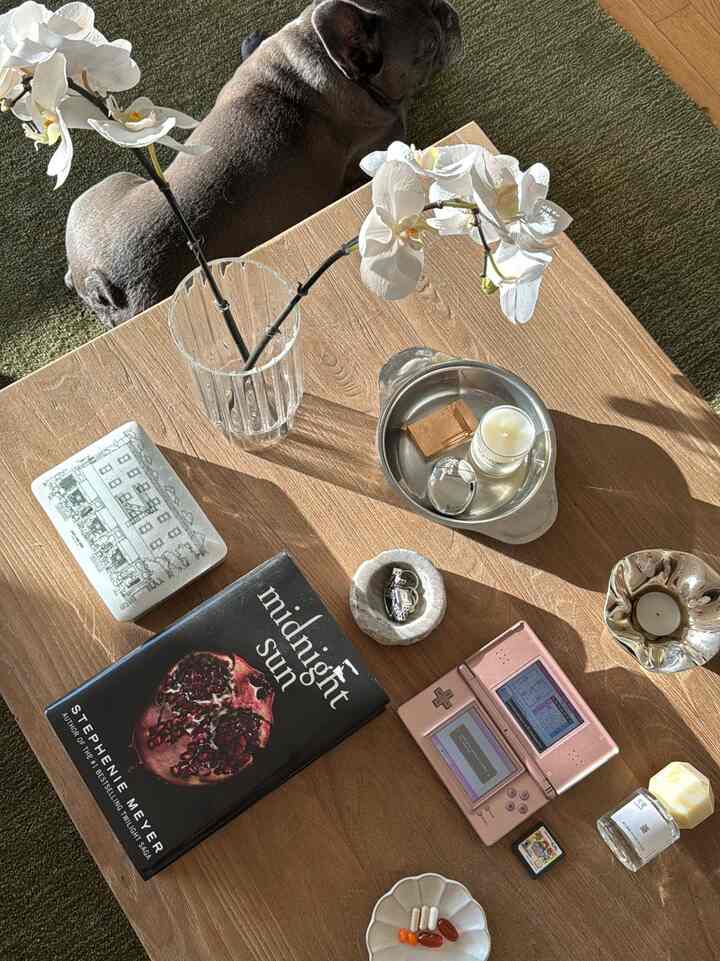 Natural color living space featuring a dog resting on an olive rug and a wooden coffee table with candles and tabletop essentials in a cozy Japandi style