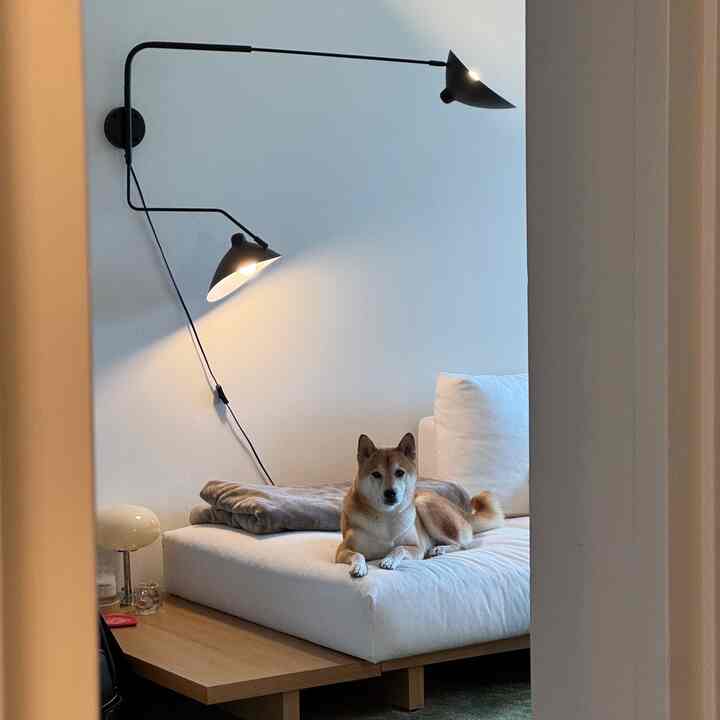 Natural-toned living room with wood side table, white sofa featuring a relaxed dog, and wall sconces adding warm lighting